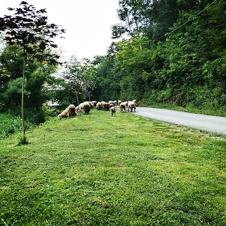Imanje Ferienhaus Aranđelovac